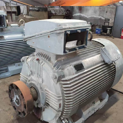 某化學(xué)廠355kw雷勃電機(jī)到廠維修