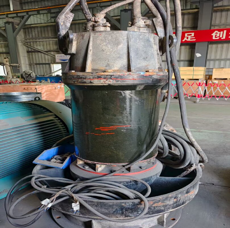 福建某生態(tài)公司潛水泵大修